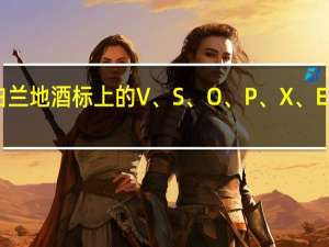 白兰地酒标上的V、S、O、P、X、E、F、v.s.o.p.、x.o.分别代表什么意思