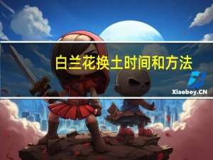 白兰花换土时间和方法