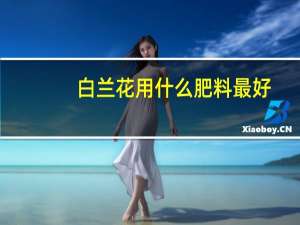 白兰花用什么肥料最好