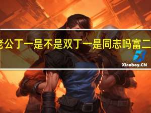 白冰老公丁一是不是双 丁一是同志吗富二代身份曝光