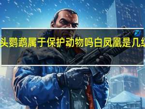 白凤头鹦鹉属于保护动物吗 白凤凰是几级保护动物