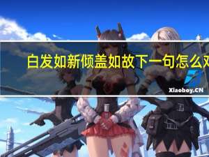 白发如新倾盖如故下一句怎么对（白发如新倾盖如故）