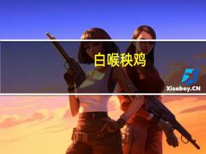 白喉秧鸡