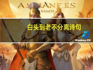 白头到老不分离诗句