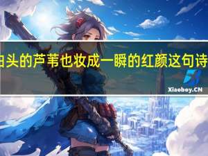 白头的芦苇也妆成一瞬的红颜这句诗的理解