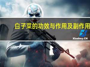 白子菜的功效与作用及副作用（白子菜的功效与作用）