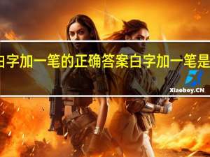 白字加一笔的正确答案 白字加一笔是什么字