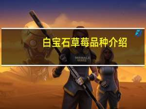 白宝石草莓品种介绍（所有宝石的品种）