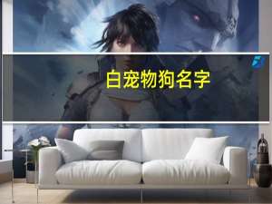 白宠物狗名字