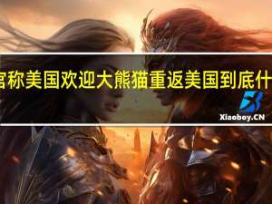 白宫称美国欢迎大熊猫重返美国 到底什么情况呢