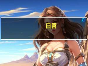 白宫：政府要求国会为乌克兰、以色列和边境保护提供近1060亿美元的额外资金支持