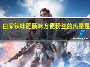 白家 辣味肥肠味方便粉丝的热量是多少