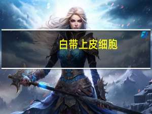 白带上皮细胞(1 )是什么意思（白带上皮细胞(1 )是什么意思）