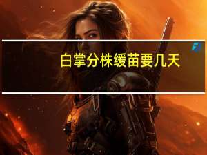 白掌分株缓苗要几天