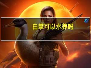 白掌可以水养吗