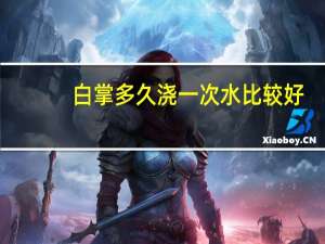 白掌多久浇一次水比较好