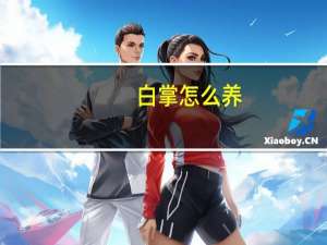 白掌怎么养