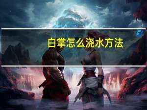 白掌怎么浇水方法