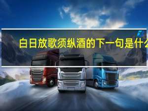 白日放歌须纵酒的下一句是什么