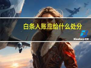 白条入账应给什么处分