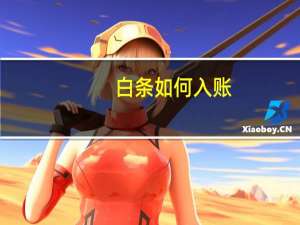 白条如何入账（白条如何套现）