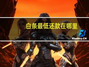 白条最低还款在哪里