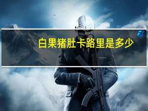 白果猪肚卡路里是多少