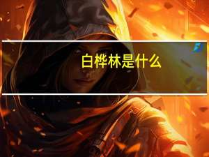 白桦林是什么