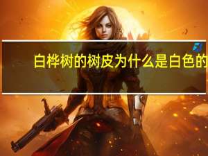 白桦树的树皮为什么是白色的