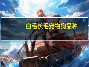 白毛长毛宠物狗品种