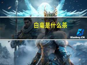 白毫是什么茶