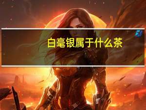 白毫银属于什么茶