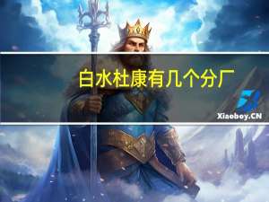 白水杜康有几个分厂