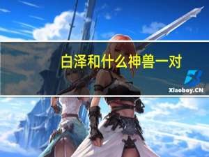 白泽和什么神兽一对