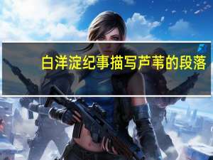 白洋淀纪事描写芦苇的段落