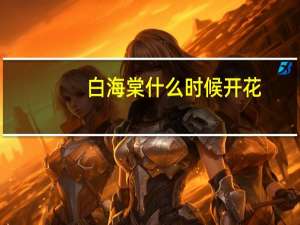 白海棠什么时候开花（白海棠）