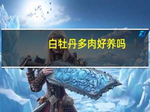 白牡丹多肉好养吗