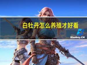 白牡丹怎么养殖才好看