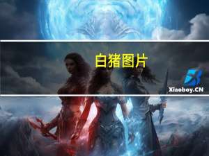 白猪图片（白猪）