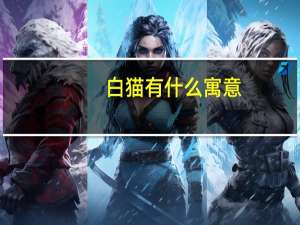 白猫有什么寓意