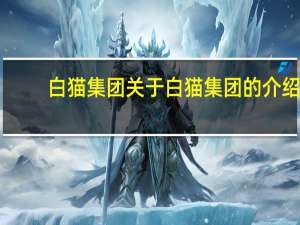 白猫集团 关于白猫集团的介绍