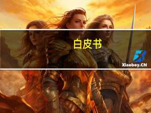 白皮书：为世界和平与发展注入正能量
