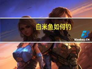 白米鱼如何钓（白米鱼）
