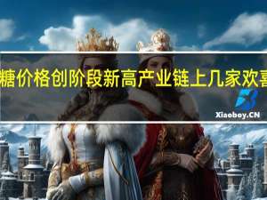 白糖价格创阶段新高产业链上几家欢喜几家愁
