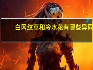 白网纹草和冷水花有哪些异同