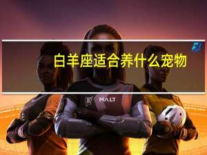 白羊座适合养什么宠物