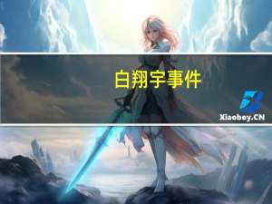 白翔宇事件（白翔）