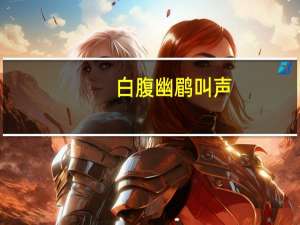白腹幽鹛叫声（白腹幽鹛）