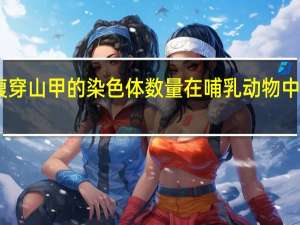 白腹穿山甲的染色体数量在哺乳动物中排名第二
