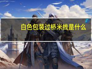 白色包装过桥米线是什么